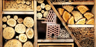 Insectenhotel