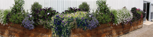 Tuinonderhoud bedrijven